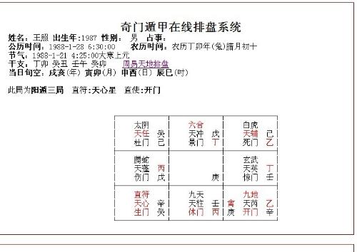 一码一肖100准确使用方法,详细解答解释落实_t972.96.08